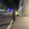 leni_3468