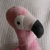patryczekk___