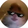 katiedenningt0n