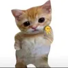stellardustxd