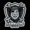 hammbone_gaming