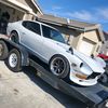 brown_mamba_240z