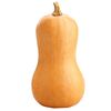 the_squash_official