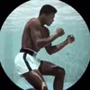 liam_hartyboxing2