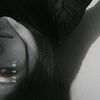 teffy.06bj