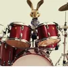 alisa_drums101