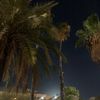 malak.az