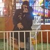 catfishliz98