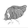 shahd_naif