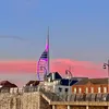 alex_w04