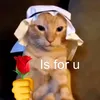 kimnmi_