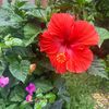 lindaamdz