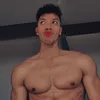 undraconique