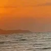 sofia.7981