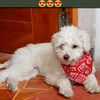 lupita_2002kang