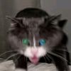 crayon_muncher666