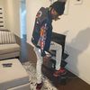 toppyboss