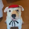 thedevilbruno