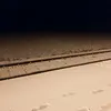 paja_petrovicka