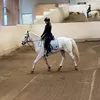 emilia.hastkonto