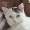 thtmngx