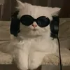 gvaskeviciutee