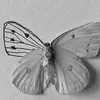 _hanga_kiraly_
