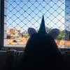 malluiiii