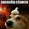 chimichangaexpress