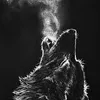 awolf19