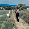 mirele_sophie