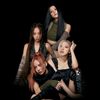 blackpinkbuzz