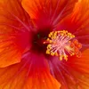 casamia.creations