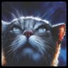 jayfeather100