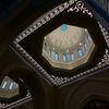 shiitav