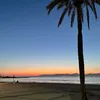 paulineg31