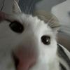 user_tiktoka