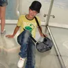 iguana_isobel