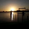 kieler.sprotte