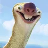 shezoomz