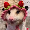 sneaky_strawberry