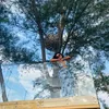 bayeyanggg