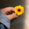 _selenaa_1_