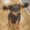 flokithesailor