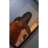 _camilaysanti