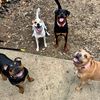TheHobsonSquad