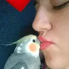 tiko_23sp