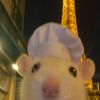 oswald.brunoise