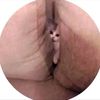 barry_mccockiner2