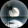 homage_307